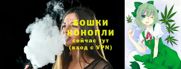 МДПВ Нефтегорск