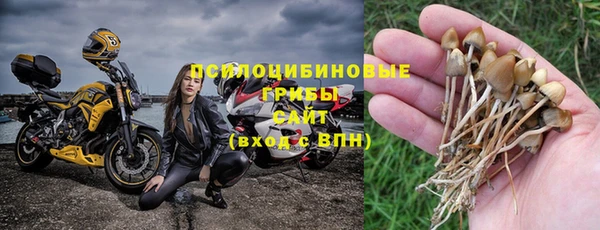 мяу мяу мука Новокубанск