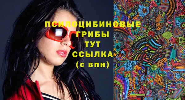 МДПВ Нефтегорск