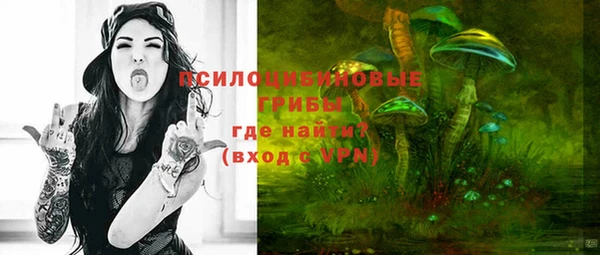 спайс Нея