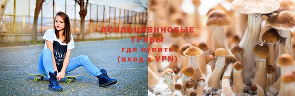 спайс Нея